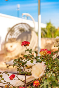 Riad Luciano - Terrace